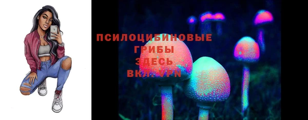 амф Костерёво