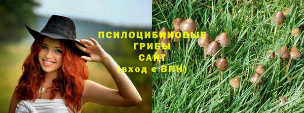 шишки Козловка