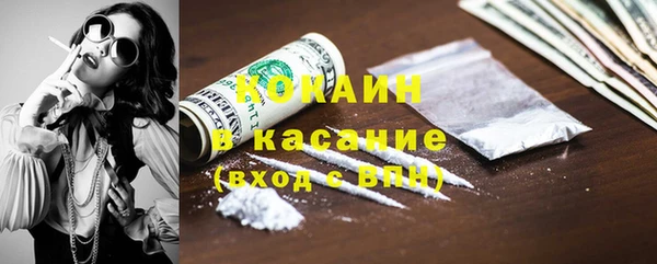 шишки Козловка