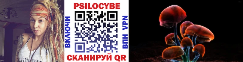 как найти   Кяхта  Галлюциногенные грибы Cubensis 