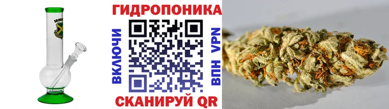 МАРИХУАНА сатива  Кяхта 